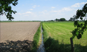 Landschap landbouw
