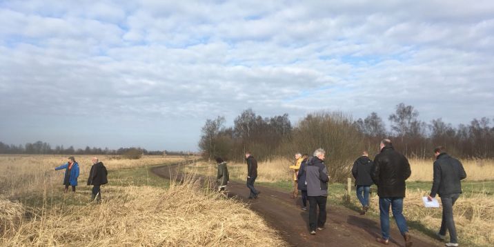 Landschap Weerribben (2)