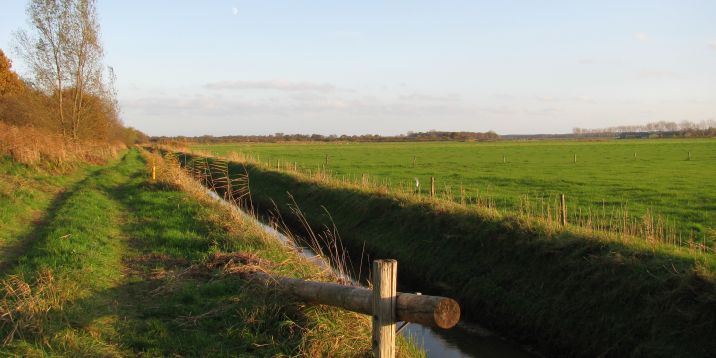 Landelijk gebied slootje