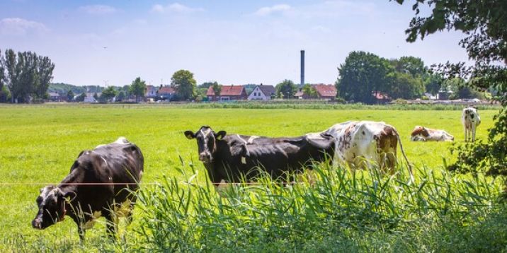 De Commissie komt naar Gelderland
