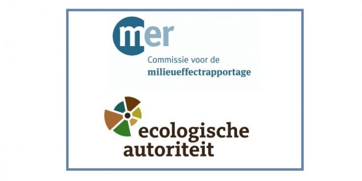 directeur
