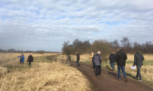 Landschap Weerribben (2)