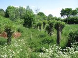 Natuur Moerputten