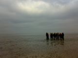 Waddenzee Cie op wad5