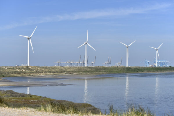 Commissie mer Natura 2000-beheerplan Voordelta
